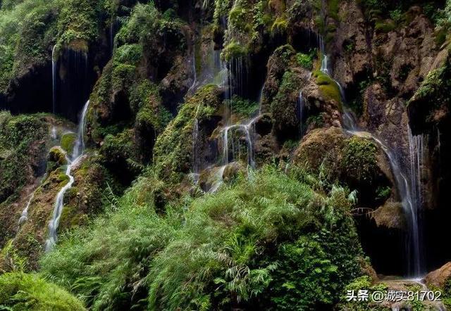 沙漠前行